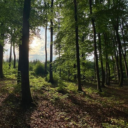 Frühstückspension Zur Krone Bad Endbach Exterior foto